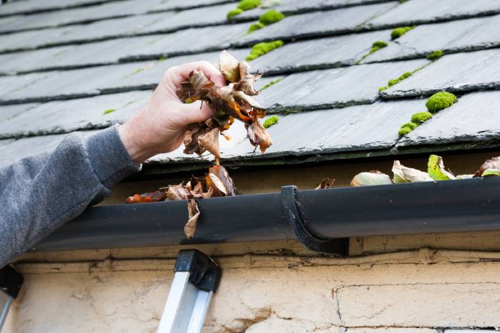 A closeup of a hand taking leaves and dirt out of a gutter